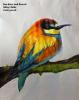 Bee Eater and Branch Abby Childs