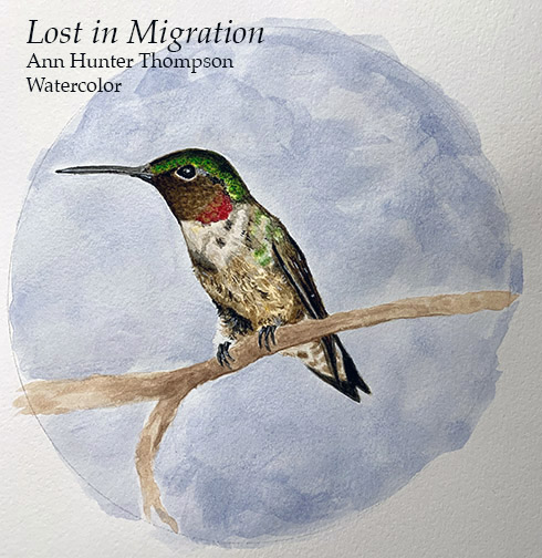 07 Ann Hunter Thompson Lost in Migration