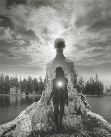 Myth of the Tree